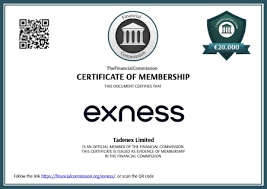 Exness For Trading Your Pathway to Successful Trading Exness For Trading Your Pathway to Successful Trading